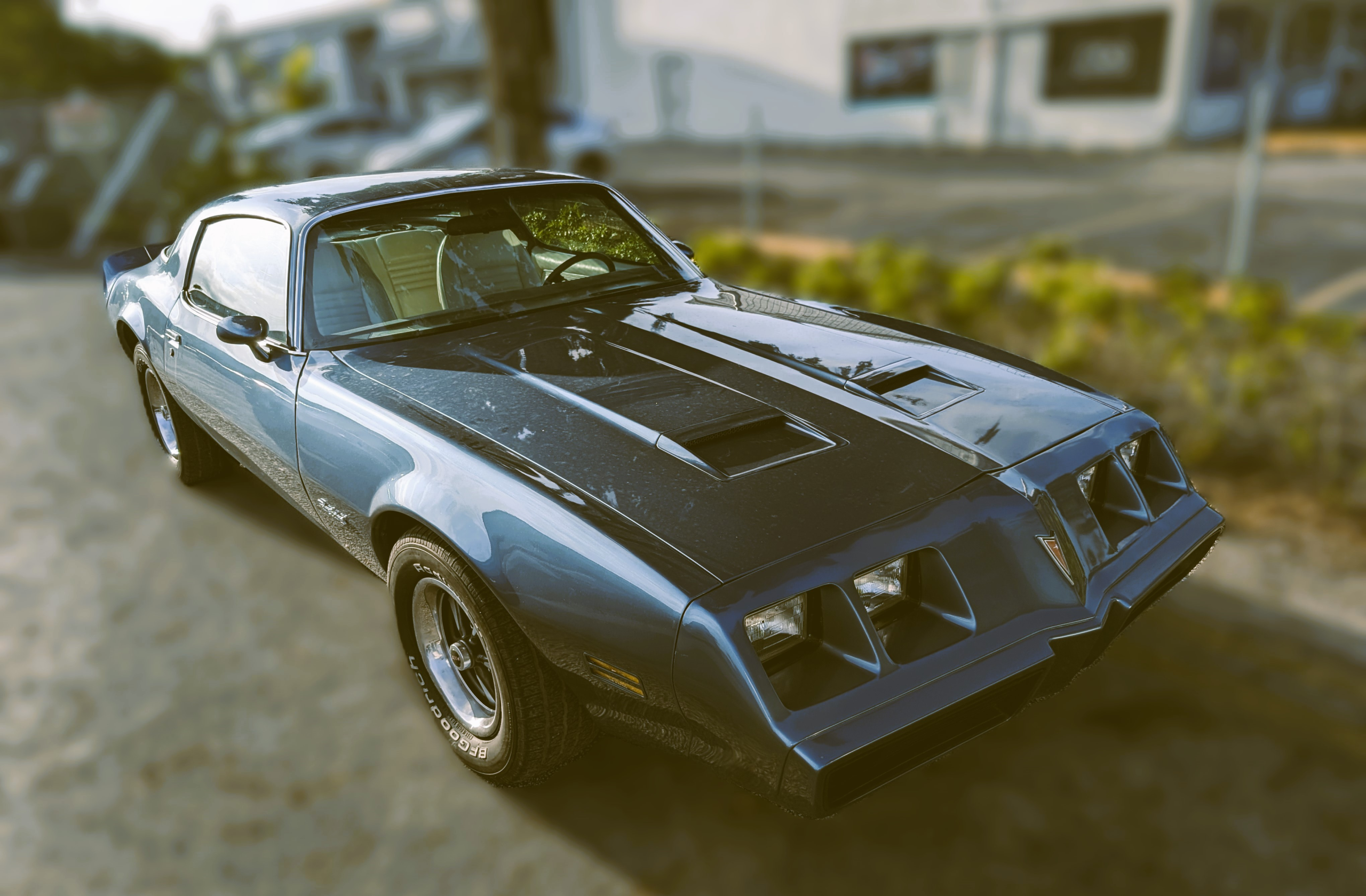 Firebird